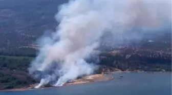 Ayvalık'taki Yangınlarla İlgili Gözaltına Alınanlar Serbest