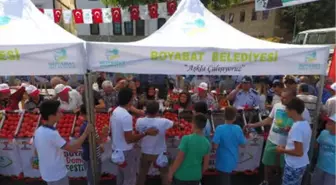 Boyabat'ta Domates Festivali Düzenlendi