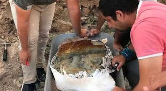 Çankırı'da Gergedan Kafatası Fosili Bulundu