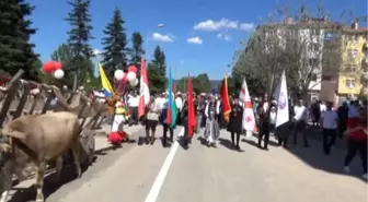 Taşköprü'de Dünyaca Ünlü Sarımsağın Festivali Başladı