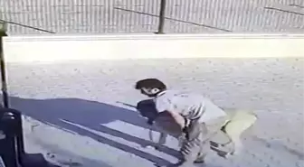 Malaklı Cinsi Çoban Köpeğini Böyle Çaldı