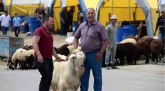 Ankara'da Kurban Pazarında Satış Var, Memnuniyet Yok