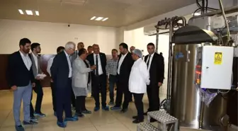 ATO Başkanı Baran, Çikolata Fabrikasını Ziyaret Etti