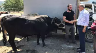 İznik Belediye Başkanı, 14 Bin Liraya Kurbanlık Aldı