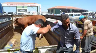 Aksaray Kurban Pazarında Arife Yoğunluğu