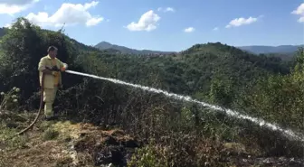 Yenice'de Bahçe Yangını