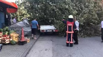 Ağaç Kamyonetin Üzerine Devrildi