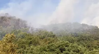 Kastamonu'da Çıkan Orman Yangını Helikopter ile Söndürüldü