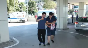 Kocaeli'de Hastaneler Acemi Kasaplarla Doldu