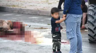 Kurban Bayramı'nda Yurdun Dört Bir Yanında Aynı Manzara! Yasak Olan Yerlerde Kesim Yaptılar