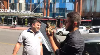 Otomobilin Motor Kısmına Giren Yavru Kedi Kurtarıldı