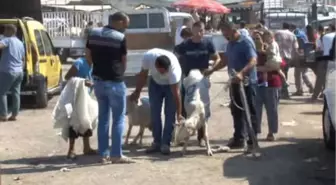 Vatandaşlar Bayramın İlk Gününde Kurban Pazarlarına Akın Etti