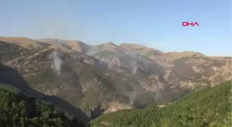 Tunceli'deki Orman Yangınına Havadan Müdahale Talebi