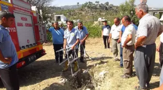 Çiftçilerin Üzümünü Yiyen Yavru Domuzu Düştüğü Kuyudan İtfaiye Kurtardı