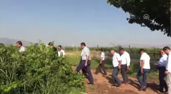 Hatay'da Bağ Bozumu