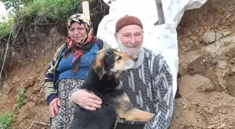 Ordu'da Patpat Kazası: 1 Ölü, 1 Yaralı