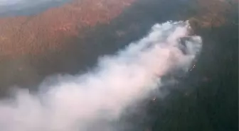 Hatay'da Orman Yangını