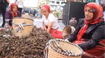 Fındığın Başkenti Giresun'da Fındık Festivali Düzenlendi