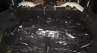 Van'da Park Halindeki Kamyonette 2 Bin 500 Paket Kaçak Sigara Ele Geçirildi
