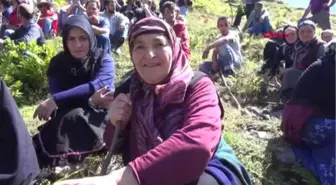 Rize Rize'deki Tartışmalı Yaylada '4 Ev Kundaklandı' İddiası Hd