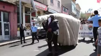 Ardahan 17. Kültür ve Bal Festivali Başladı