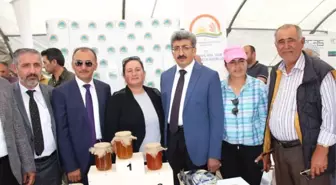 Ardahan'da Bal Festivali Coşkusu