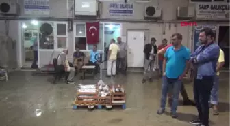 Balıkesir Denizde Av Sezonu Başladı; Balık Az, Fiyatı Yüksek