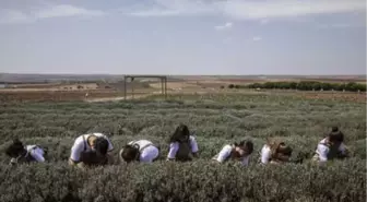 Tarım Lisesi Öğrencileri İtalya'ya Gidiyor