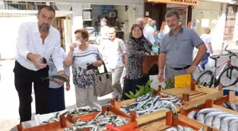 Balıkçı Tezgahlarında Yoğunluk