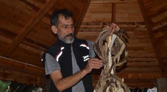 Doğada Görevini Tamamlayan Ağaçlarla Sanat Yapıyor