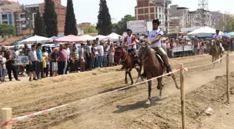 Turgutlu'da 'Rahvan At' Heyecanı Yaşandı