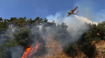 Güncelleme - Osmaniye'de Orman Yangını