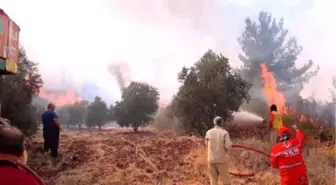 Hatay'da 4 Farklı Noktada Orman Yangını