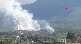 Hatay'da 4 Farklı Noktada Orman Yangını