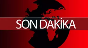 Gri Listedeki Bir Terörist Daha Öldürüldü