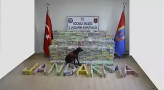 Kocaeli'de Dev Operasyon; 800 Kilo Kokain Ele Geçirildi