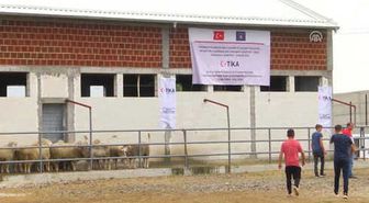 Tika'dan Kosova'daki Çiftçilere Destek