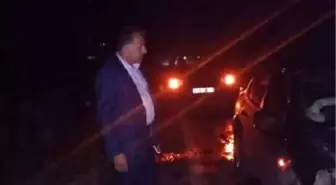 Belediye Başkanının Makam Aracının Çarptığı 3 Domuz Telef Oldu