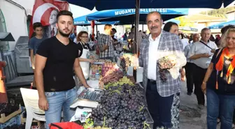 Çağrışan'da Coşkulu Bağbozumu