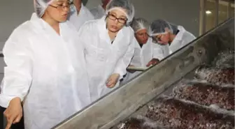 Çinli Heyet Türk Kuru Üzümü İçin Alaşehir'de