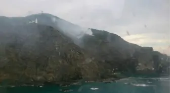 Hatay'daki Yangında 1 Hektarlık Orman Alanı Zarar Gördü