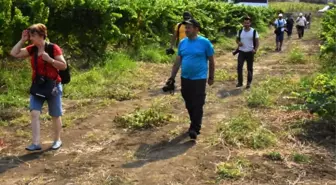 Tekirdağ'ın Dört Bir Yanını Fotoğrafladılar