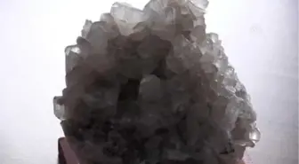 Çay Üretiminde 'Bor Mineralli Gübre Kullanılsın' Önerisi