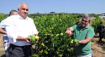 Başkandan Cezeryeli İhracatlık Limon Kesimi