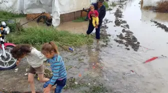 Mevsimlik İşçilerin Çadırlarını Sel Bastı, Çocuklar Son Anda Kurtarıldı