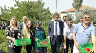 Kapya Biber Hasadı Tarla Günü