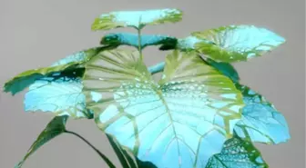 Borusan Contemporary'de Sezon, İki Sergiyle Açıldı