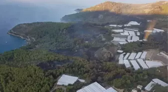 Milletvekili Uslu: 'Yanan Bölge Tekrar Ağaçlandırılacak'