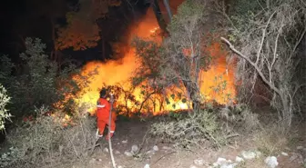 Güncelleme - Antalya'da Orman Yangını