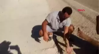 İzmir Belediye İşçilerinden Bukalemun Kamil'e Duyarlı Davranış Hd